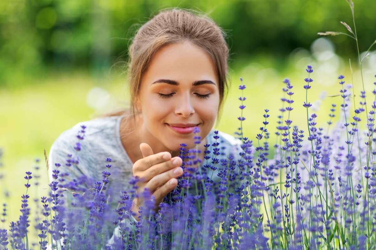 Trucchi per la fioritura della lavanda fino all'autunno