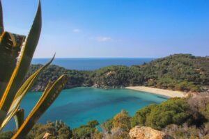 Spiaggia tropicale di Fetovaia all'Elba