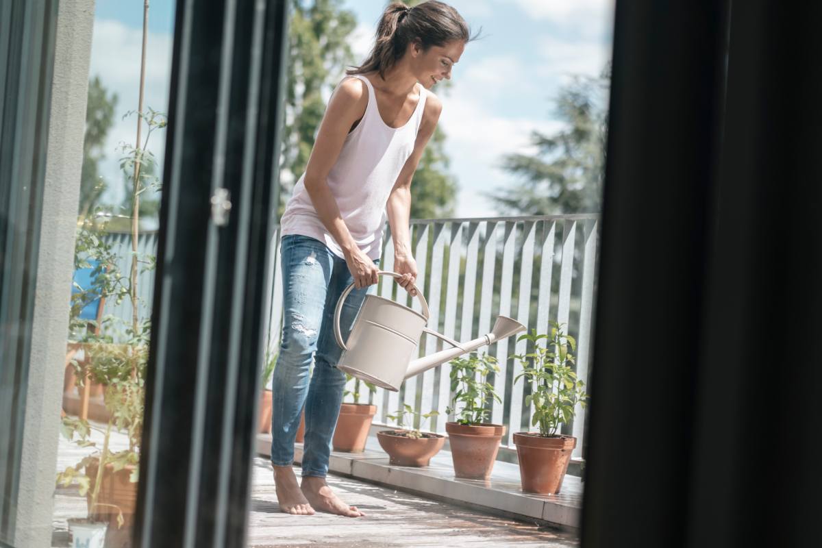 Piante in vaso sul balcone