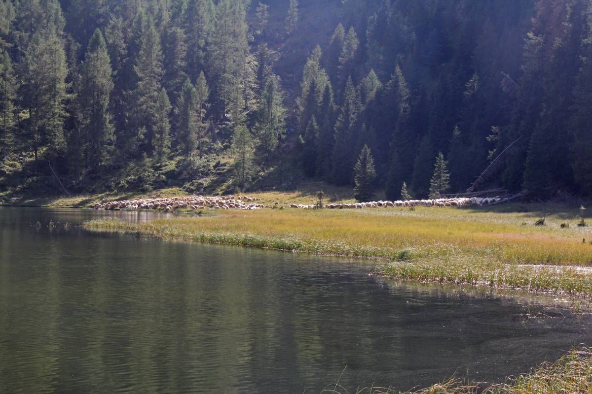 I laghi solitari del Trentino
