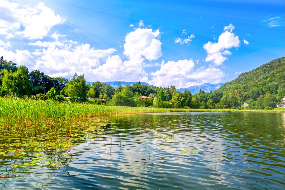 5 aghi poco noti del Trentino
