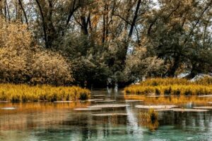 I laghi del Lazio dove rilassarsi in famiglia