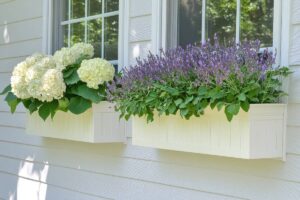 L'imperdibile abbinamento di lavanda e ortensia