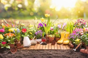 Ecco quali fiori seminare a fine estate