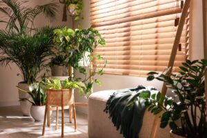 Piante autunnali che decorano la casa