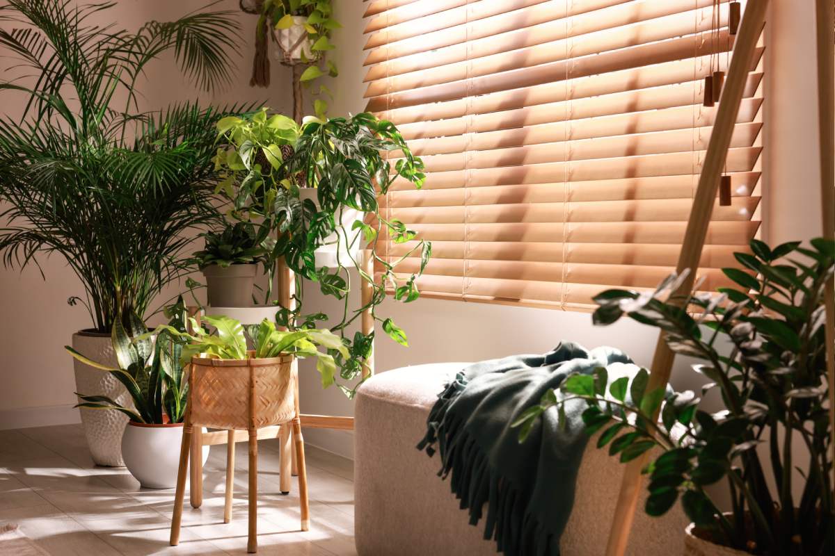 Piante autunnali che decorano la casa