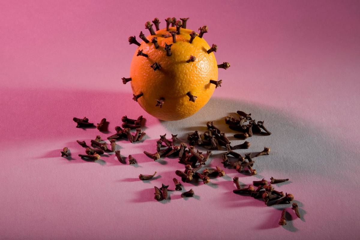 Odore di chiuso addio con alloro e chiodi di garofano