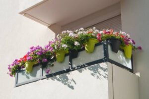 Fioriture autunnali che resistono