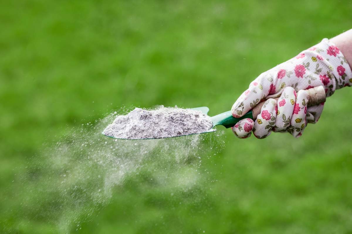 I concimi naturali che rinvigoriscono le piante aromatiche