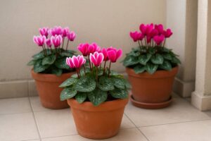 Ecco come favorire la fioritura in balcone