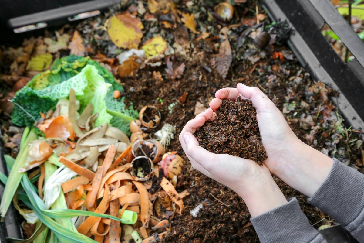 Compost per concimare