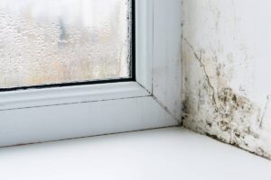 Ecco come evitare la formazione della condensa e della muffa in casa