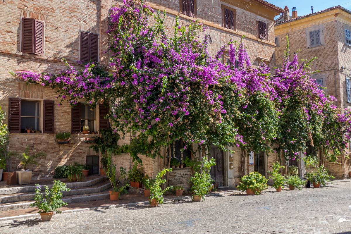 I borghi marchigiani