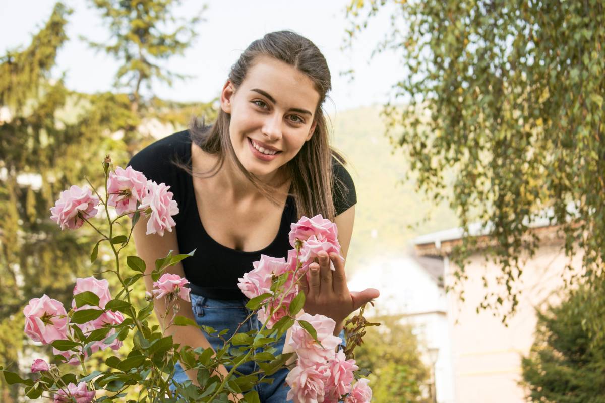 Muffa e funghi sulle rose: ecco come intervenire