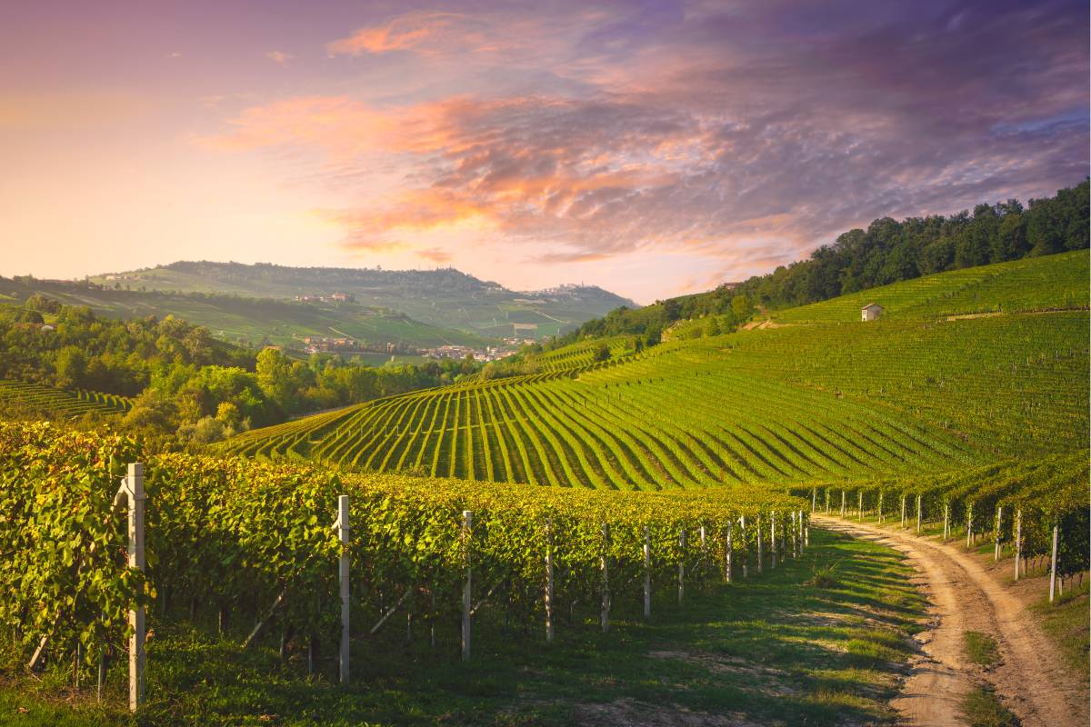 Il foliage in Piemonte