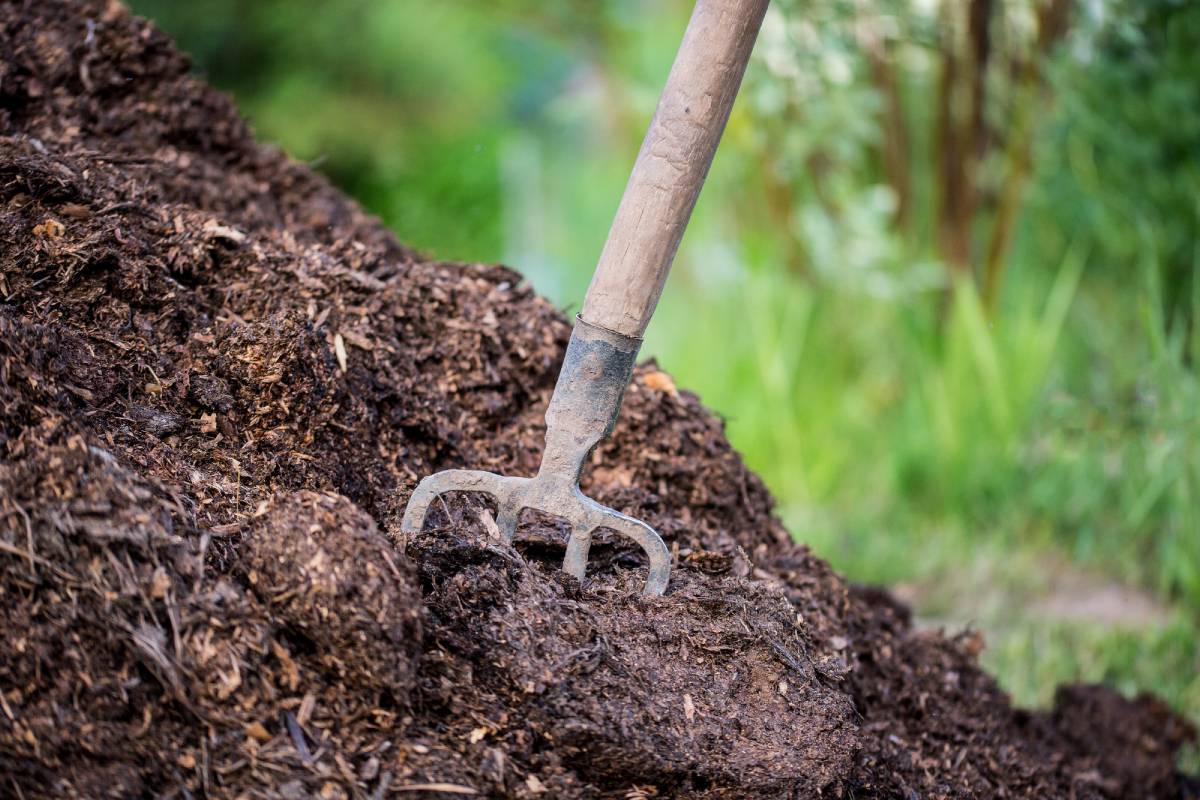 3 concimi naturali prima del cambio di stagione
