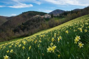 Mucciafora: il borgo umbro che rinasce
