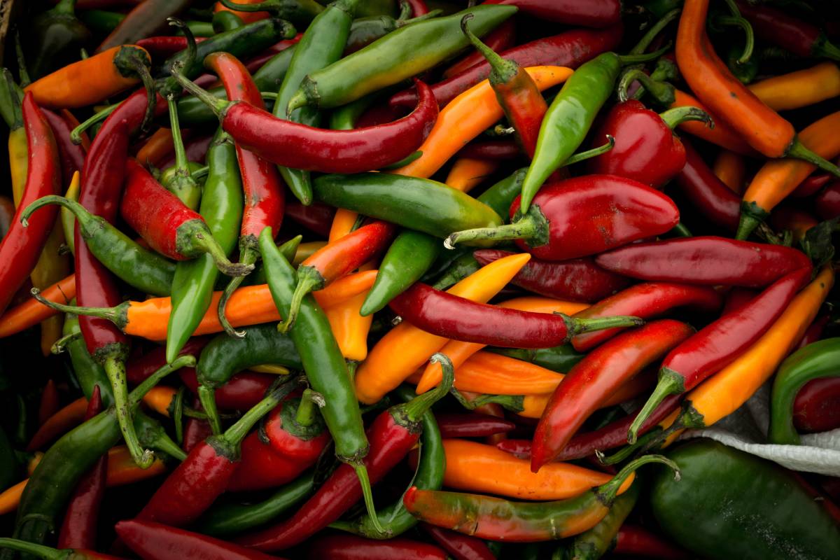 Come conservare peperoncini fino a Natale