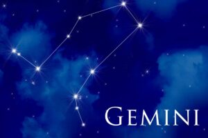 Caratteristiche dei Gemelli