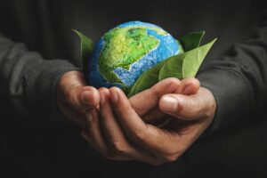 Ecco i 5 segni che sostengono l'ambiente