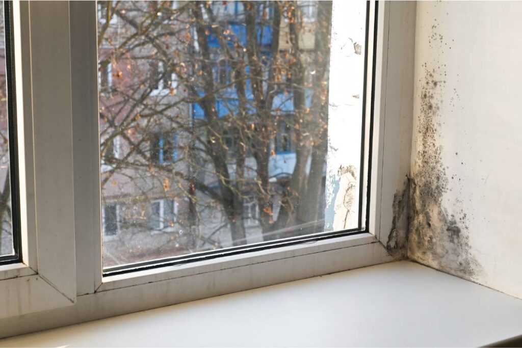 Evitare l'umidità in casa: ecco i rimedi