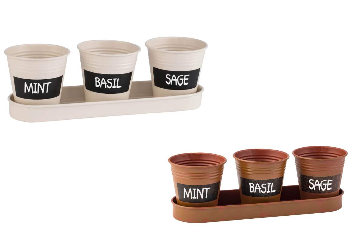 Da Lidl in offerta i vasetti Lidl