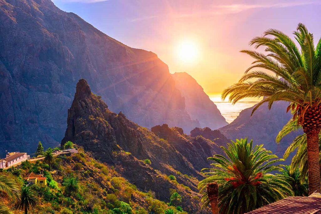 Canarie in inverno