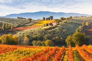 Umbria
