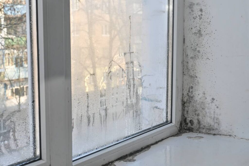 Muffa e condensa: le 5 mosse per evitarle con l’arrivo del freddo