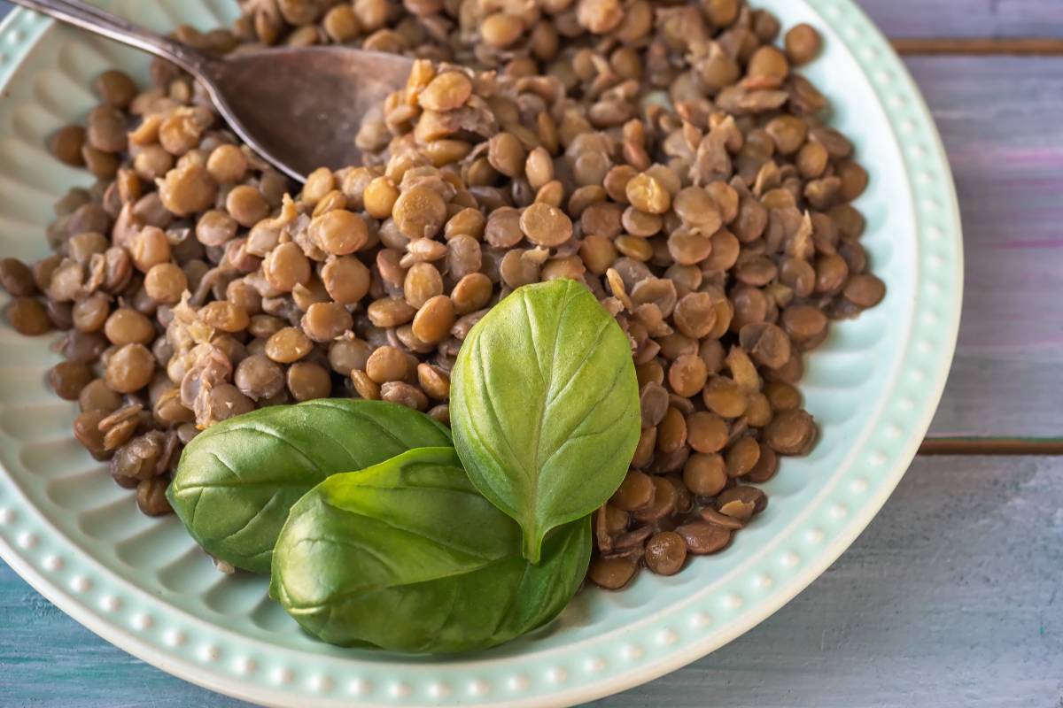 Basilico autunnale nella zuppa di lenticchie