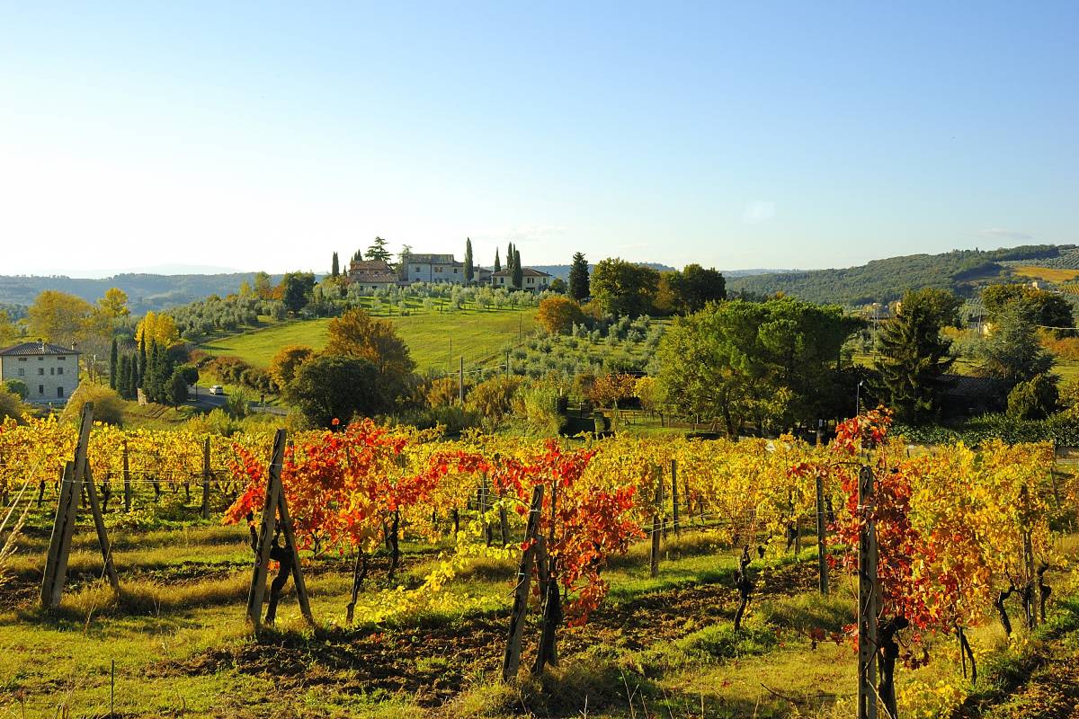 Paesaggio toscano con vigneti, in autunno