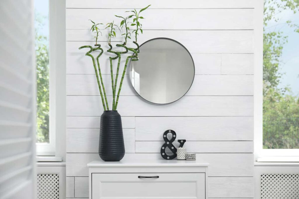 Bambù della fortuna: significato, cure e idee decorative per la pianta portafortuna