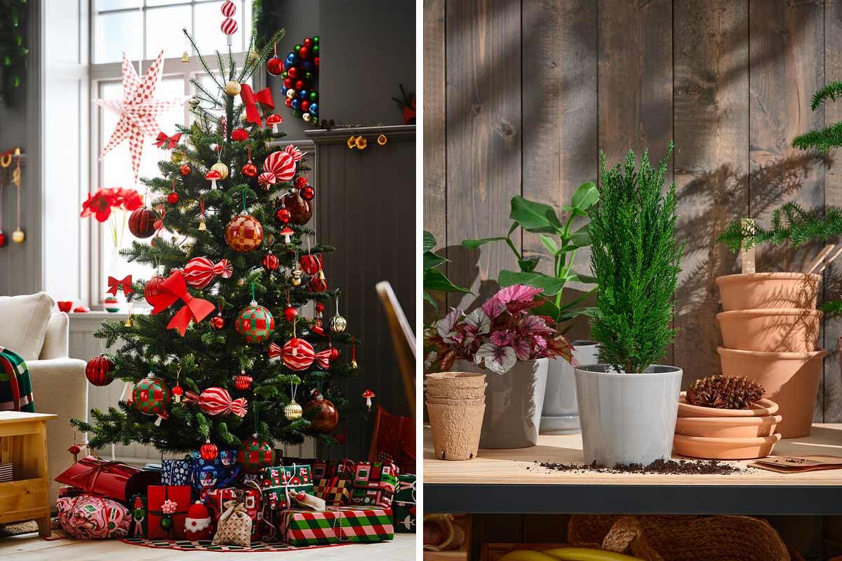 Alberi di Natale Ikea 2025