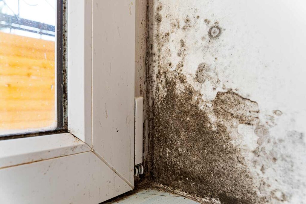 5 gesti quotidiani per ridurre subito l’umidità in casa