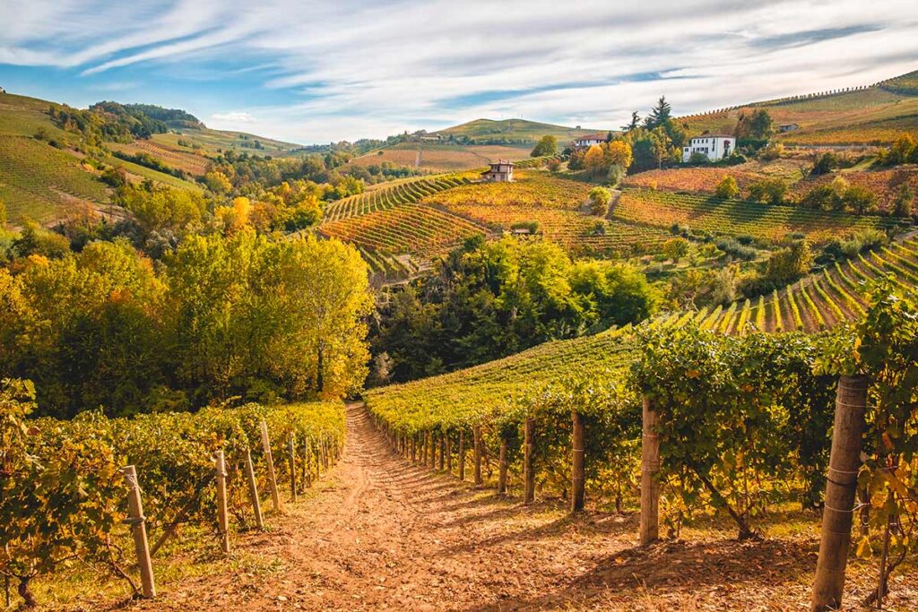 Tra vino rosso e foglie dorate: il fascino segreto delle Langhe in coppia