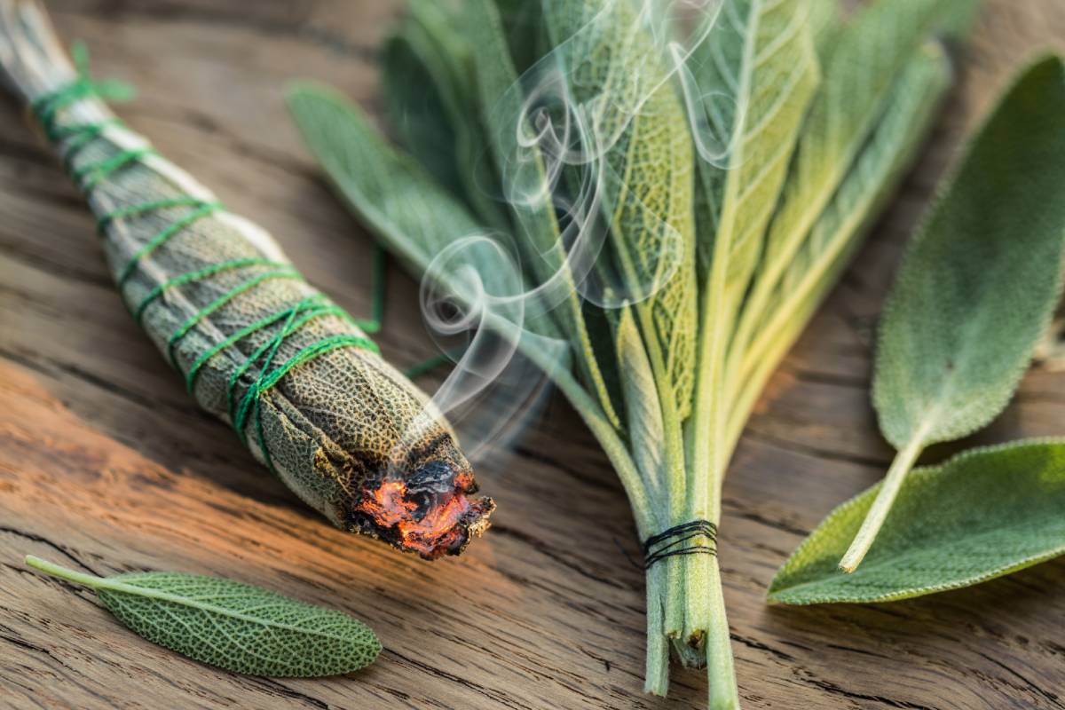 Foglie di salvia che bruciano per profumare casa