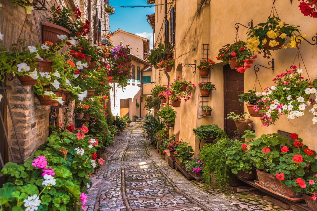 spello, un suggestivo borgo in autunno vicino ad assisi