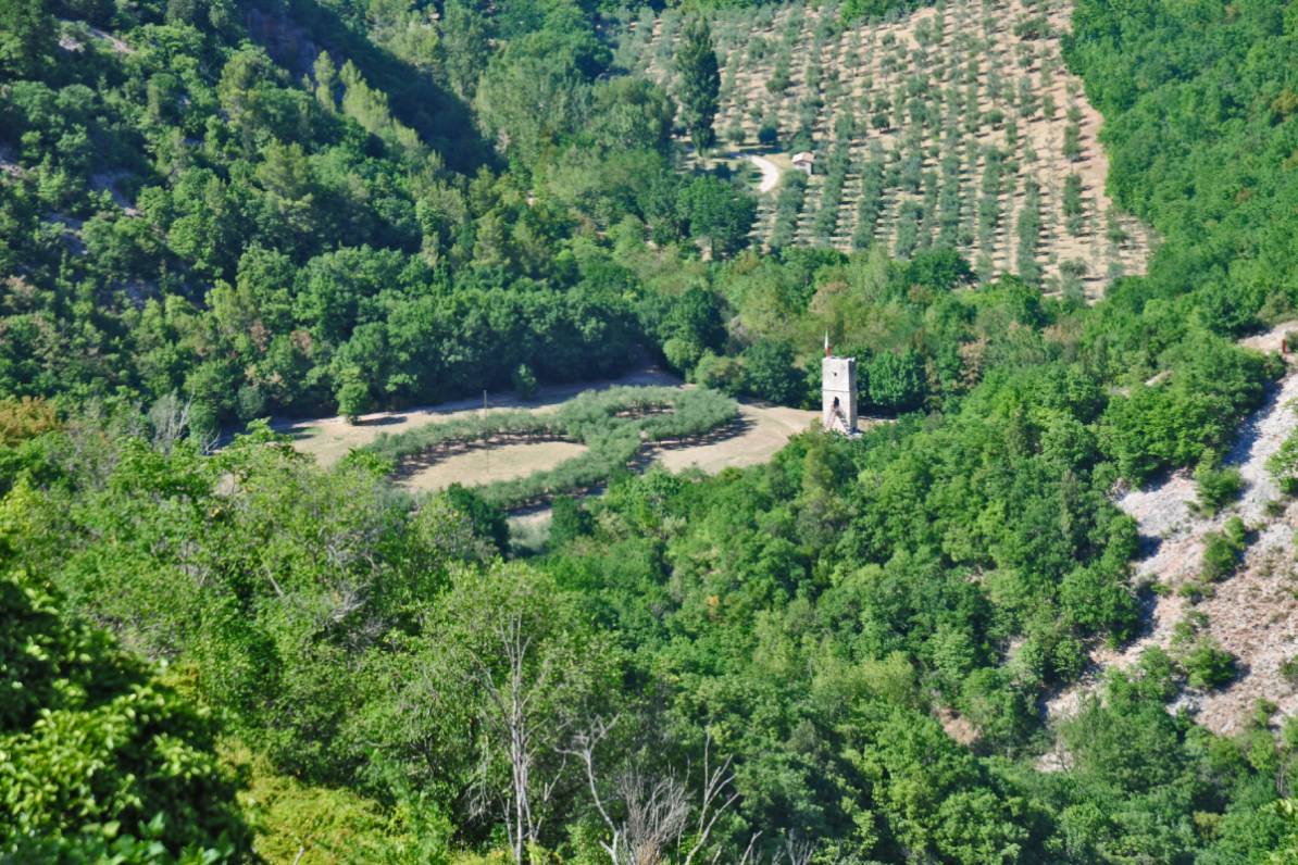 bosco di san francesco ad assisi