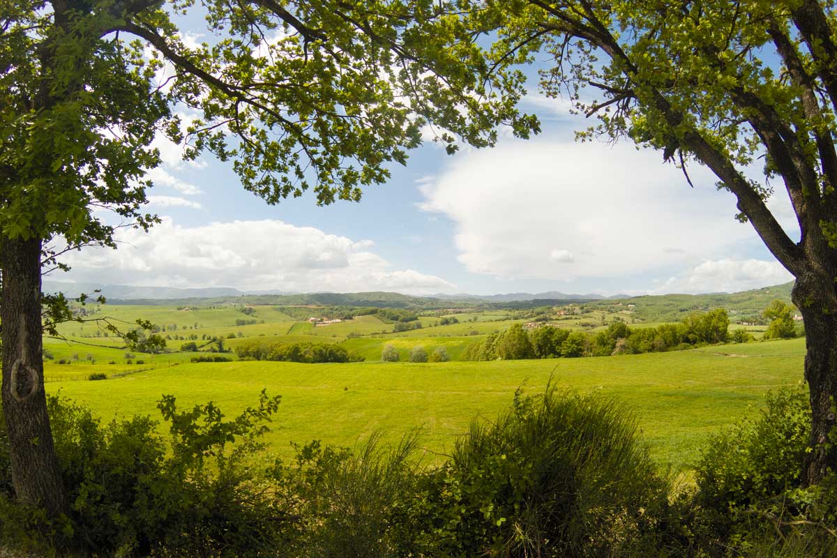 I cammini più belli di novembre: boschi quieti, silenzi e foglie che scricchiolano sotto i passi