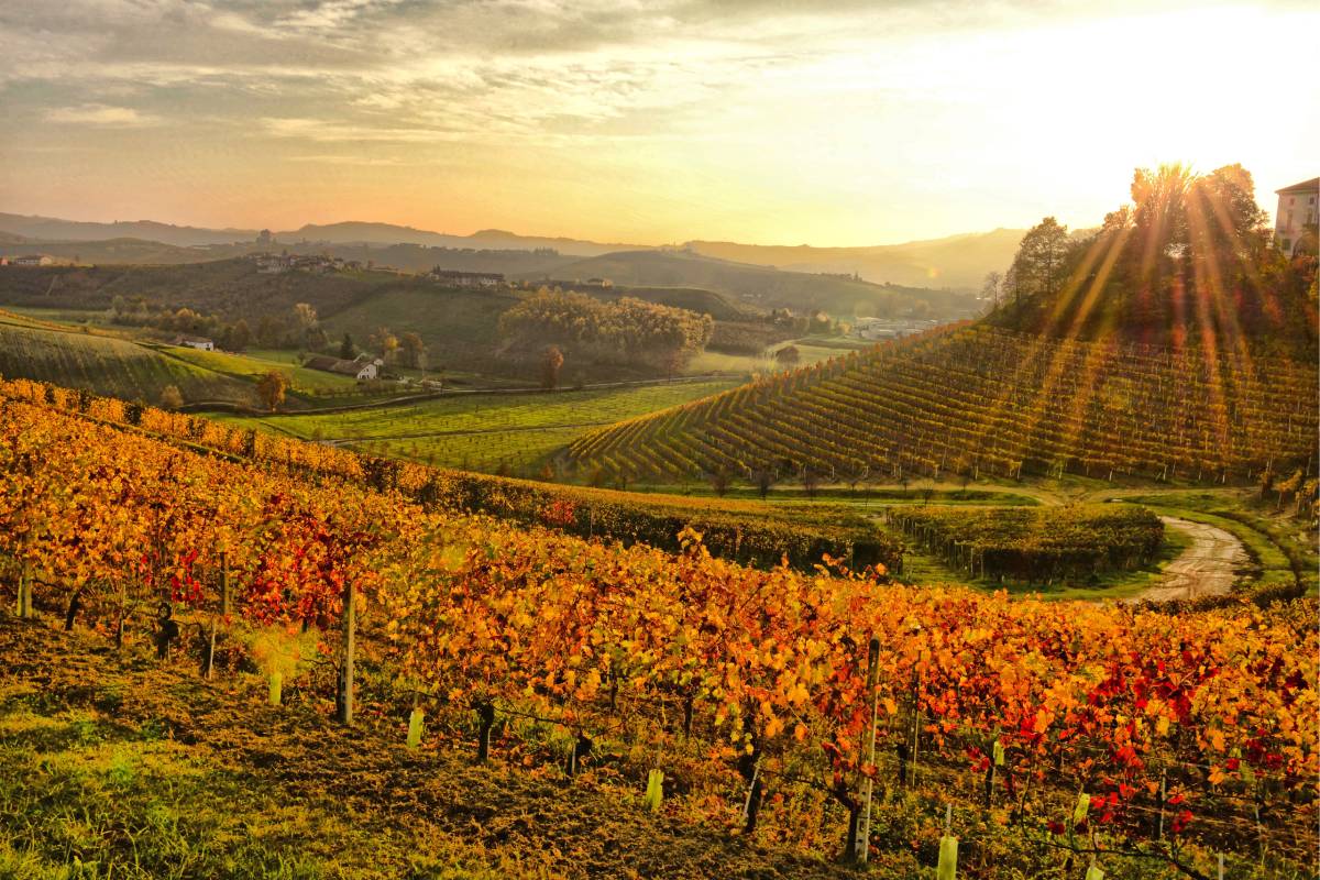 paesaggio delle langhe a novembre