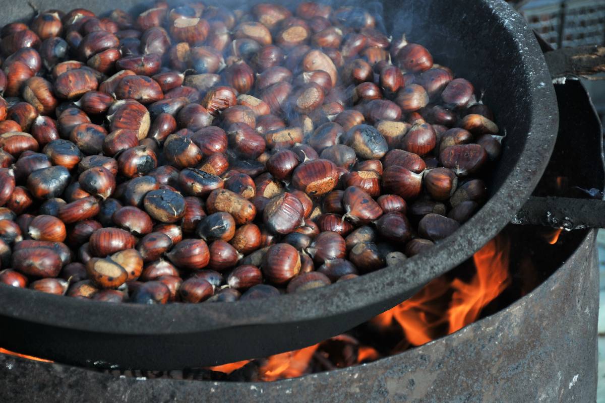sagra della castagna igp di roccamonfina