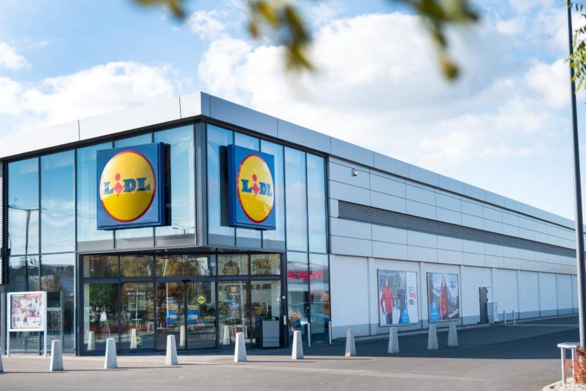 lidl e l'offerta settimanale sule piante