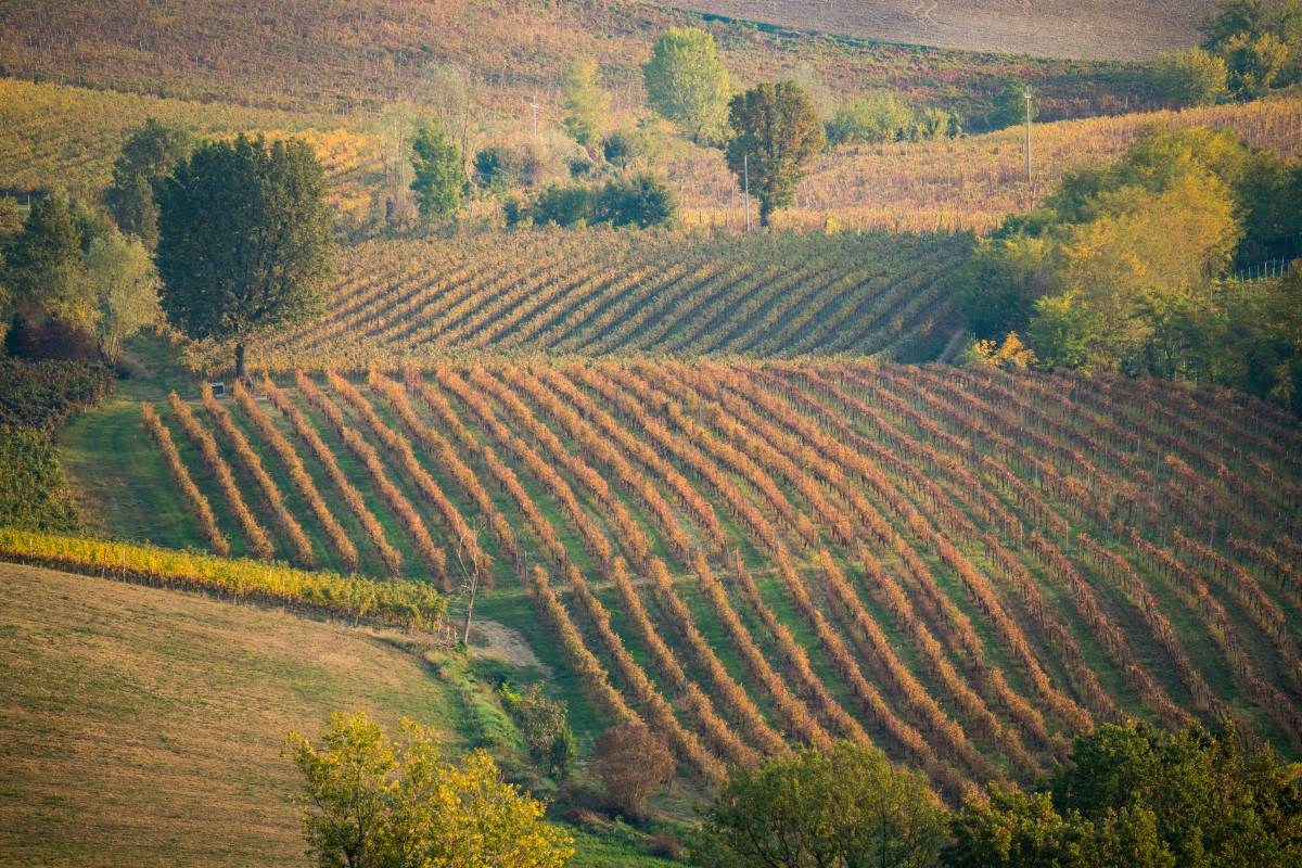 veduta sui colli piacentini