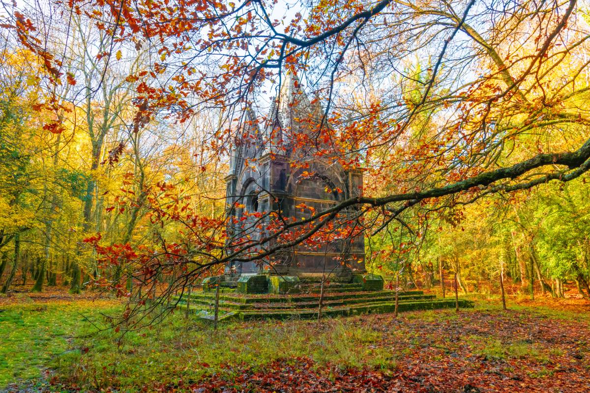 bosco del sasseto a torre alfina