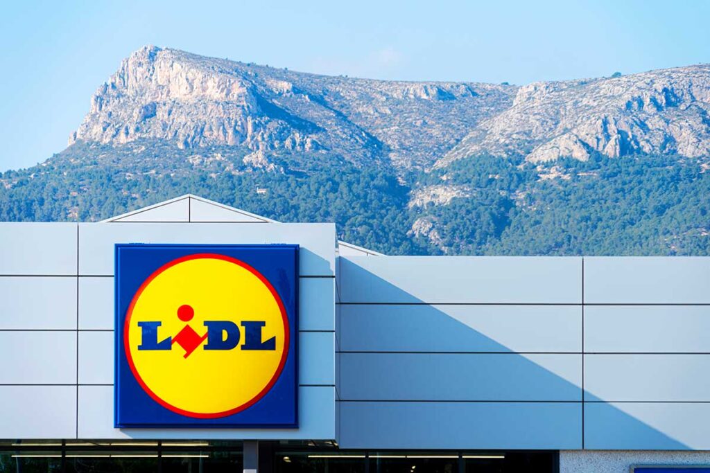 Lidl lancia le piante che profumano di Natale: le più belle da prendere il 1 dicembre